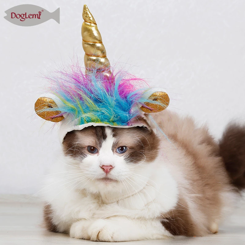 Detail Gambar Kucing Unicorn Nomer 30