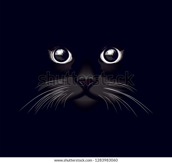 Detail Gambar Kucing Vector Nomer 21