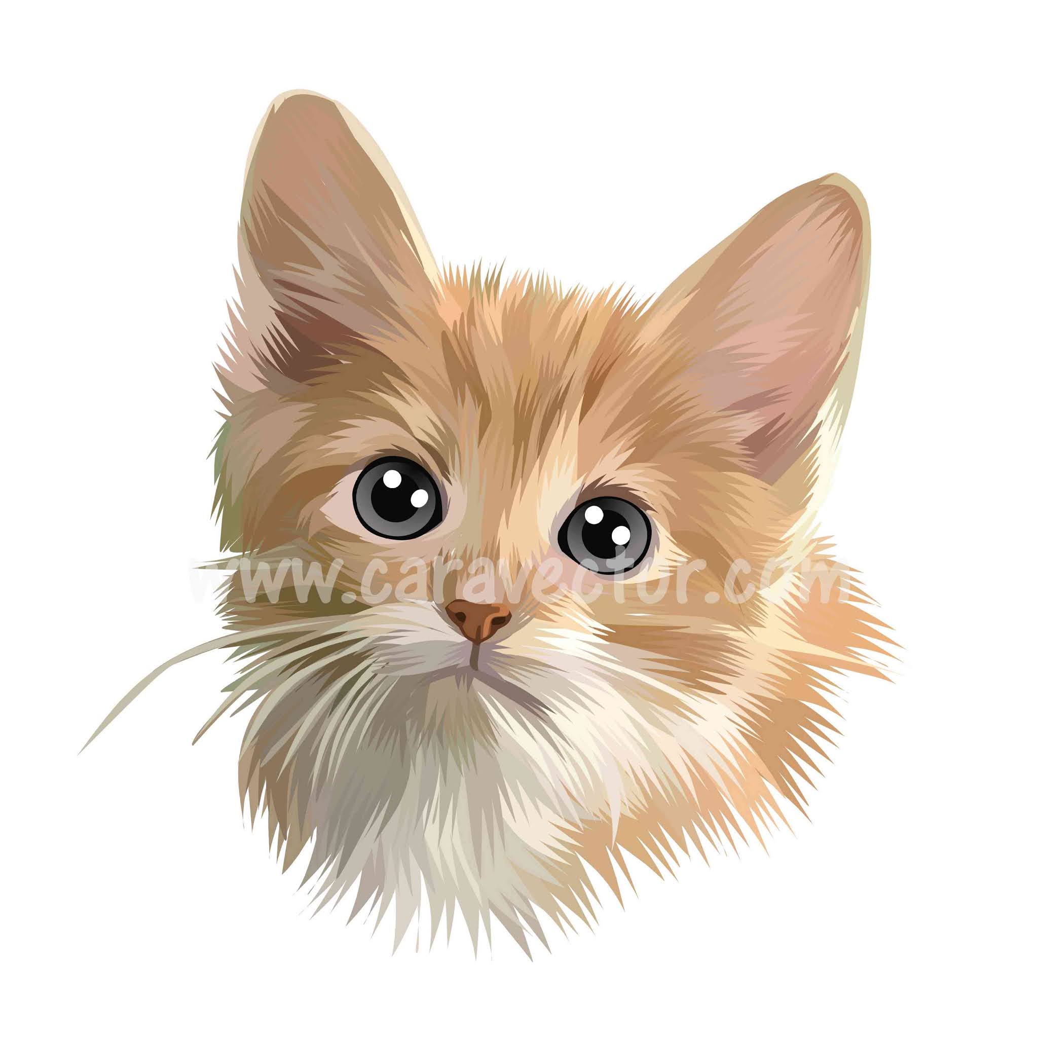 Detail Gambar Kucing Vector Nomer 6