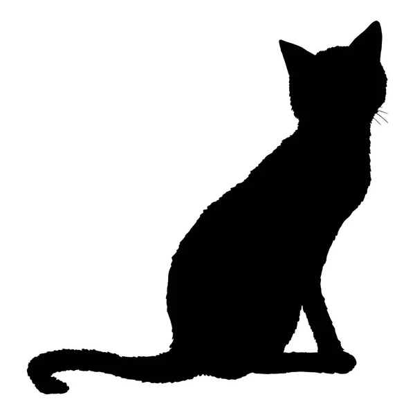Detail Gambar Kucing Vector Nomer 54