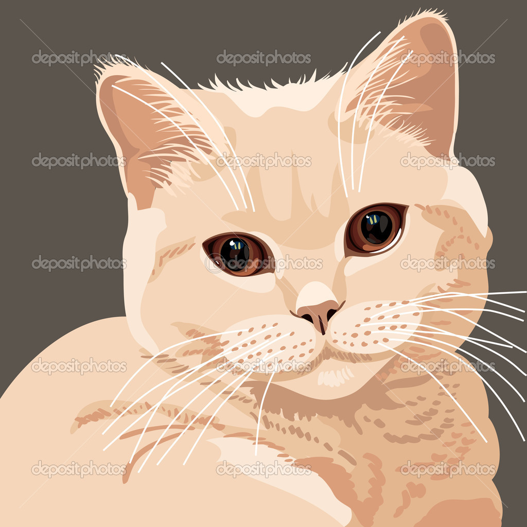 Detail Gambar Kucing Vector Nomer 7