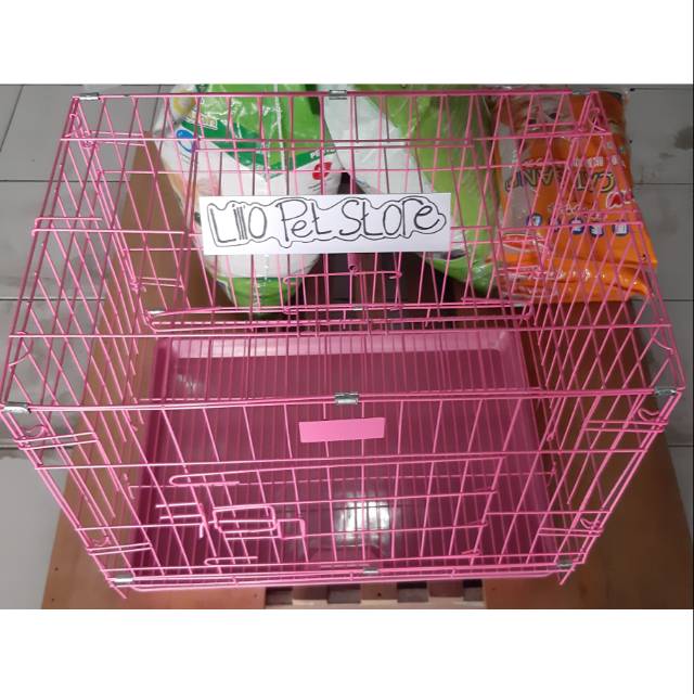 Detail Gambar Kucing Warna Pink Nomer 38