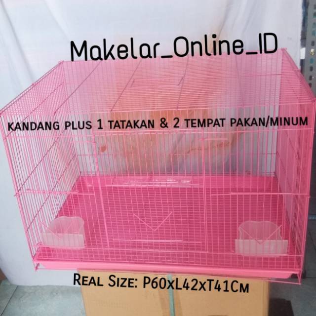 Detail Gambar Kucing Warna Pink Nomer 48