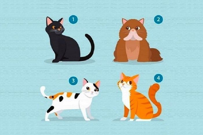 Detail Gambar Kucing Yang Paling Lucu Nomer 34