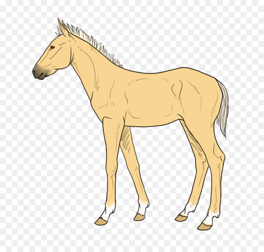 Detail Gambar Kuda Dan Keledai Nomer 44