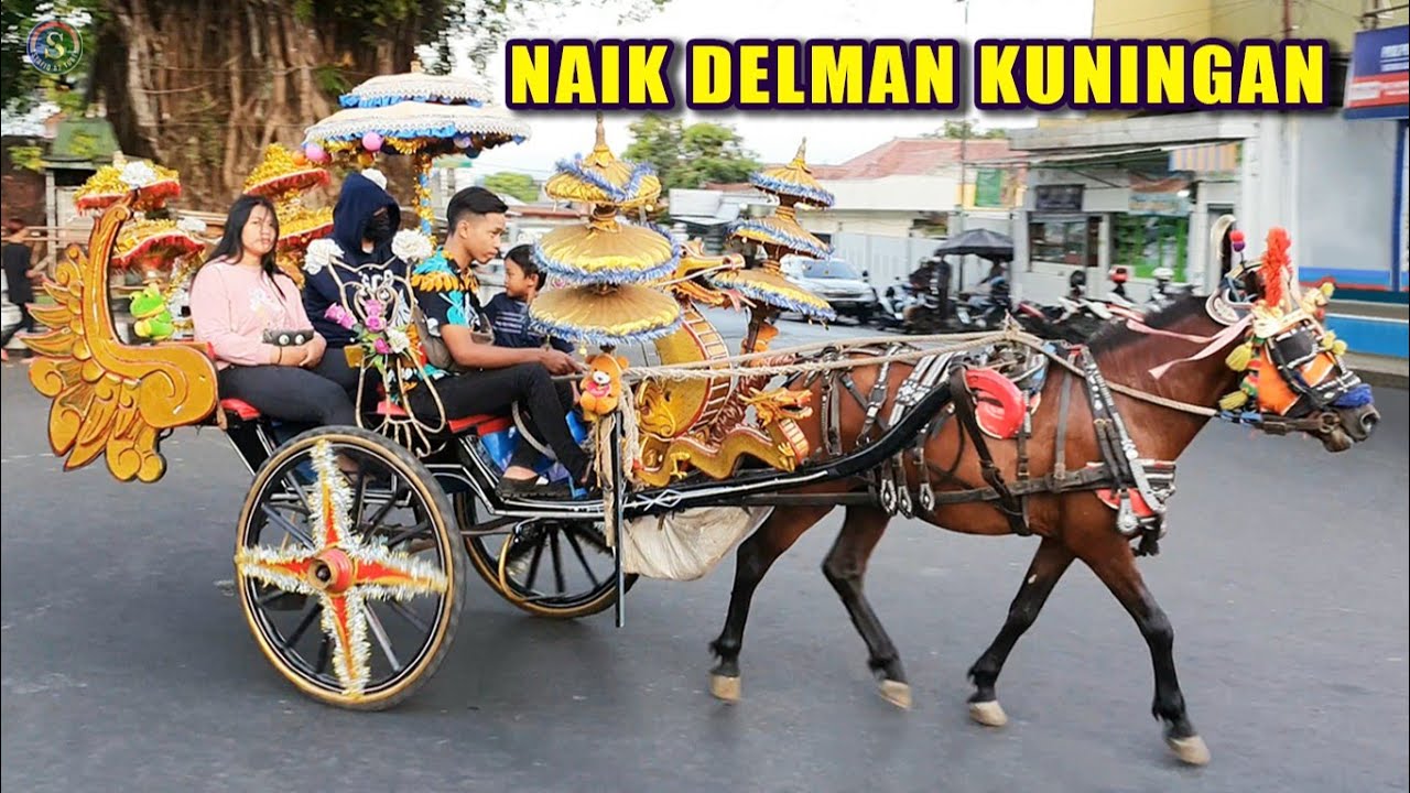 Detail Gambar Kuda Delman Nomer 23