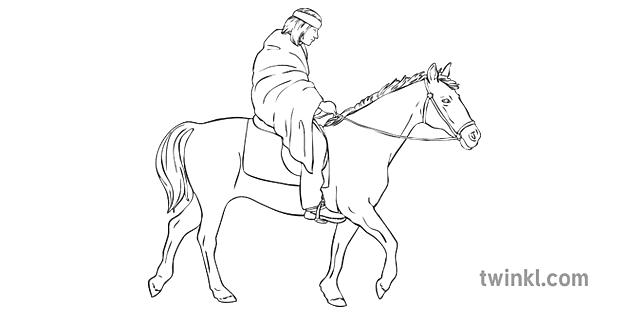 Detail Gambar Kuda Hitam Putih Nomer 40