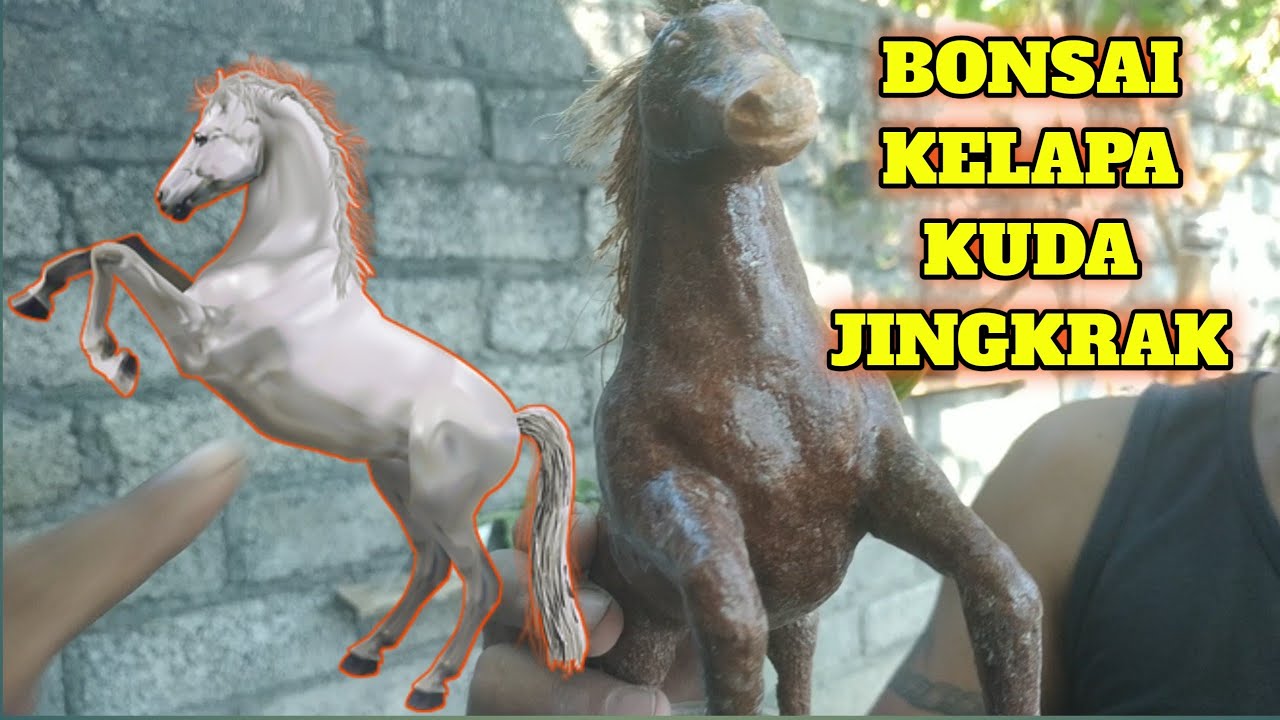 Detail Gambar Kuda Jingkrak Nomer 55