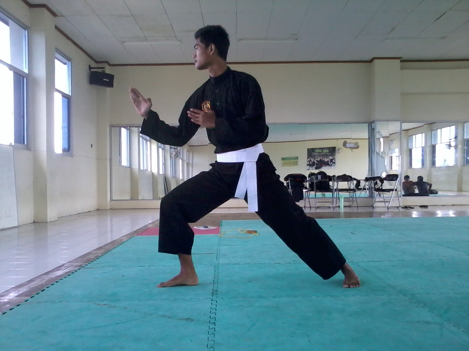 Detail Gambar Kuda Kuda Pencak Silat Nomer 20