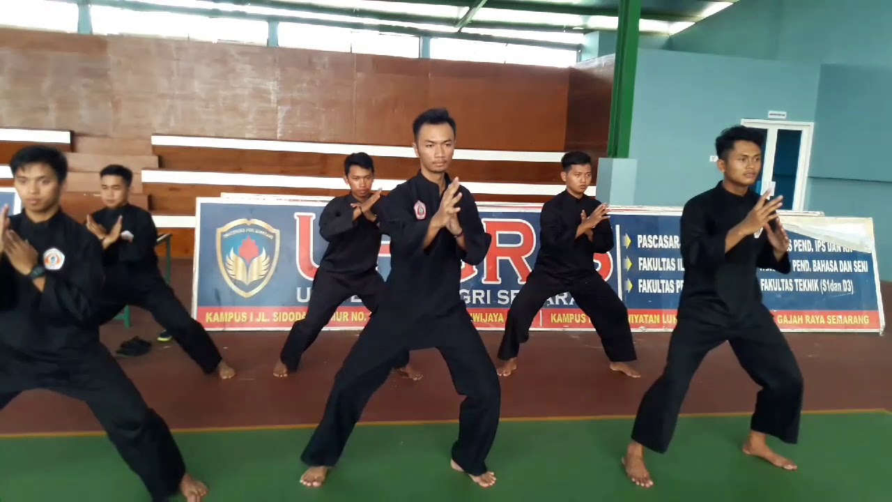 Detail Gambar Kuda Kuda Pencak Silat Nomer 49