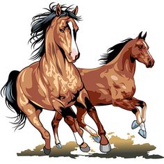 Gambar Kuda Lari - KibrisPDR