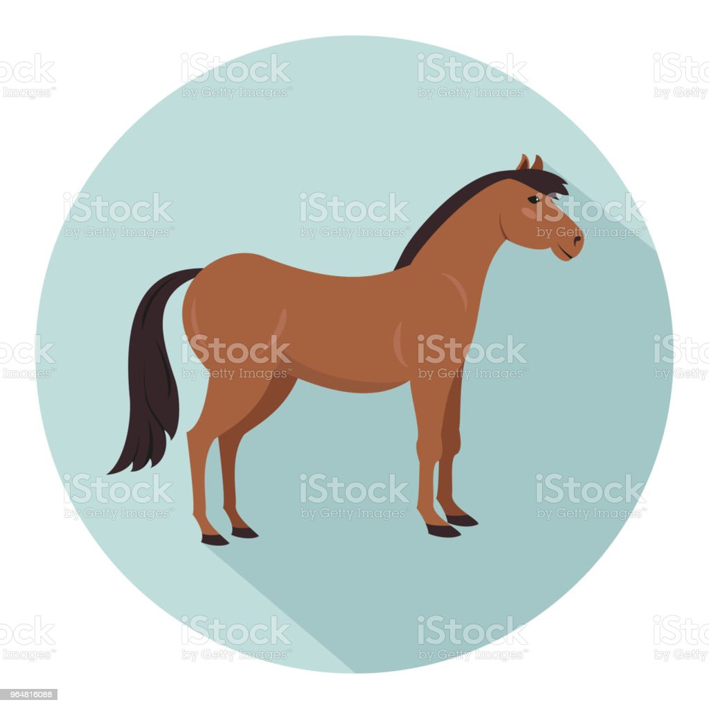 Detail Gambar Kuda Lucu Nomer 39