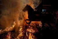 Detail Gambar Kuda Terbang Api Nomer 45