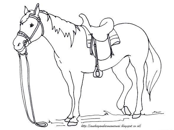 Detail Gambar Kuda Untuk Anak Tk Nomer 2
