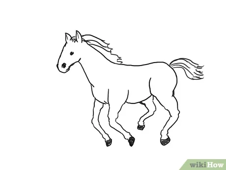 Detail Gambar Kuda Untuk Anak Tk Nomer 13