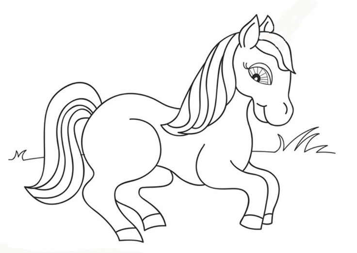 Detail Gambar Kuda Untuk Anak Tk Nomer 17