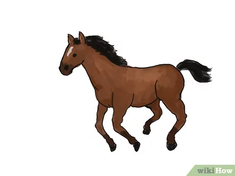 Detail Gambar Kuda Untuk Anak Tk Nomer 18