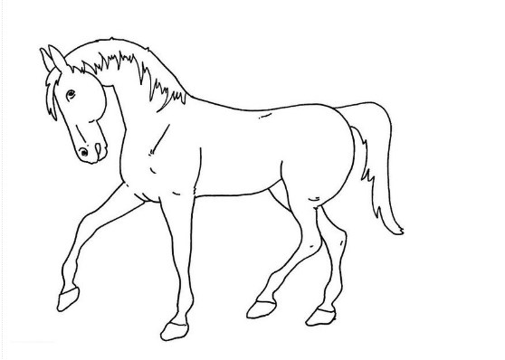 Detail Gambar Kuda Yang Mudah Nomer 27