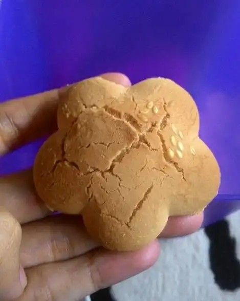 Detail Gambar Kue Bangkit Nomer 55