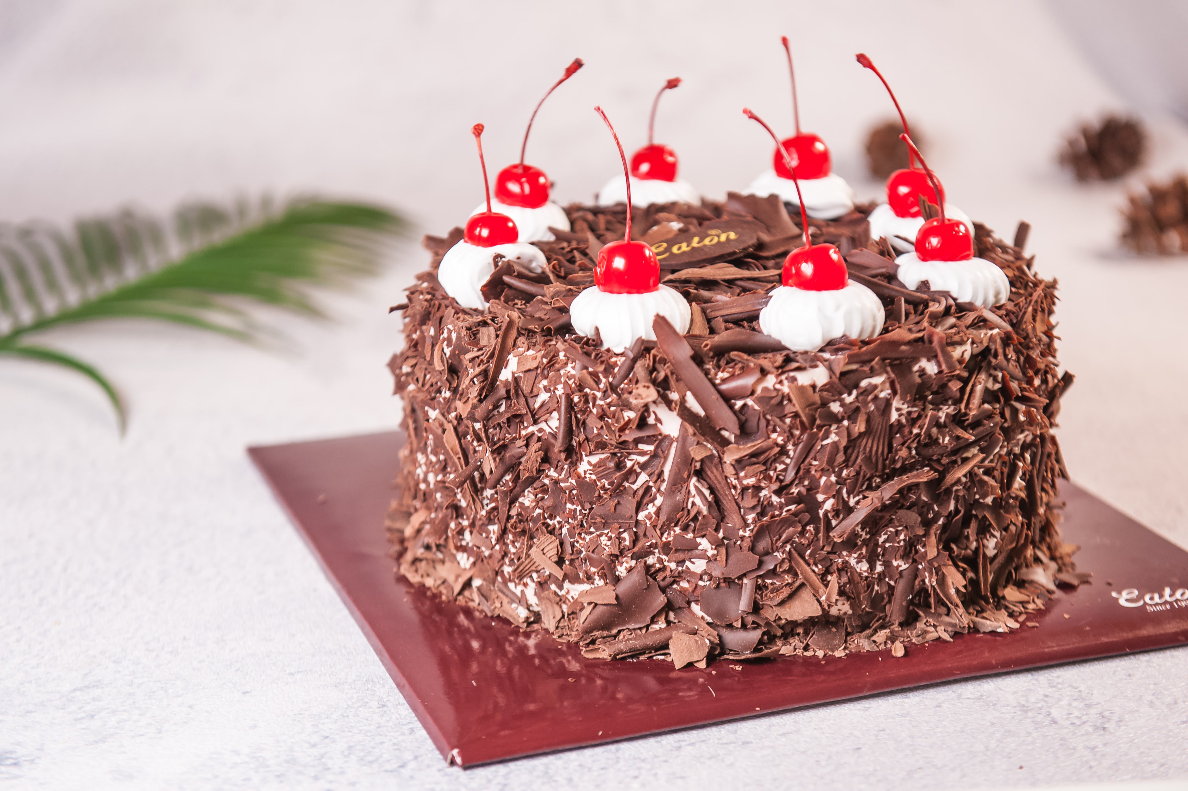 Detail Gambar Kue Black Forest Nomer 53