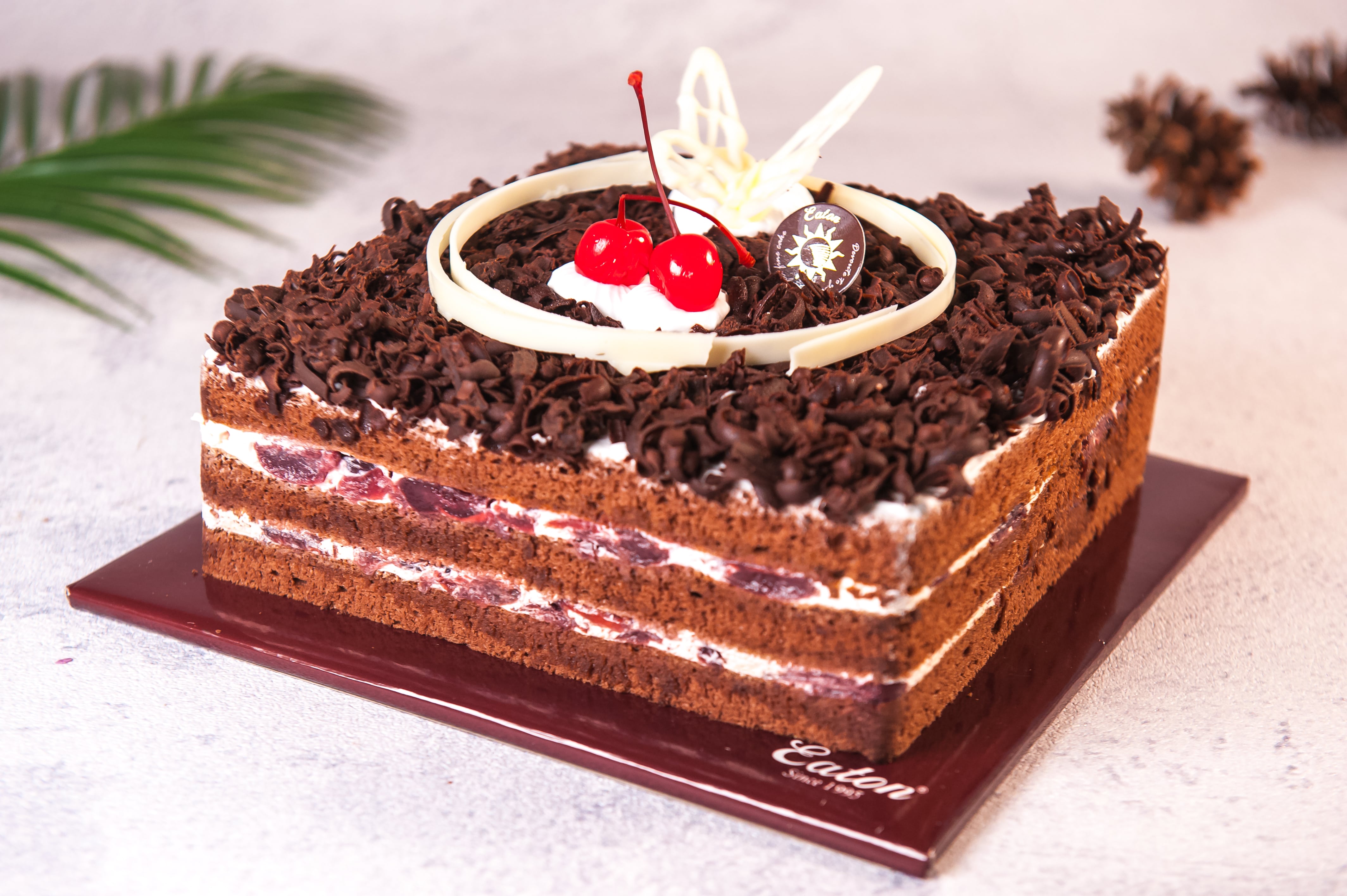 Detail Gambar Kue Black Forest Kotak Nomer 29