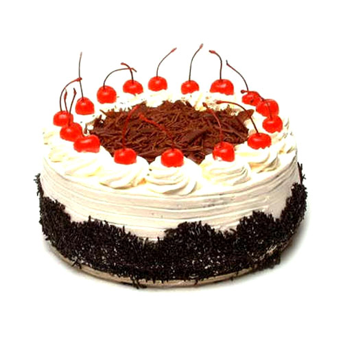 Detail Gambar Kue Black Forest Mini Nomer 48