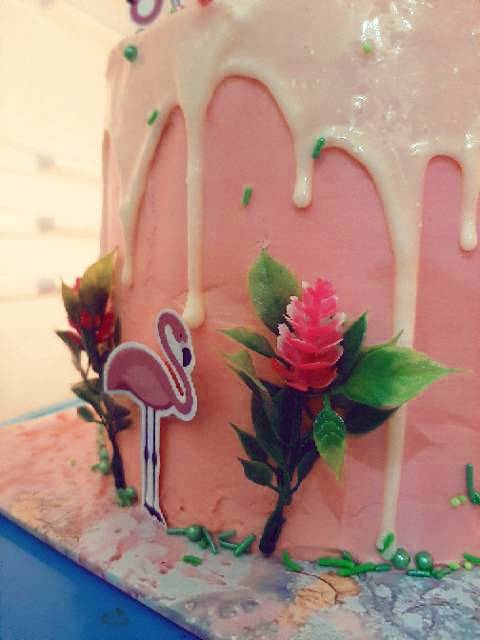 Detail Gambar Kue Ulang Tahun Flamingo Nomer 45