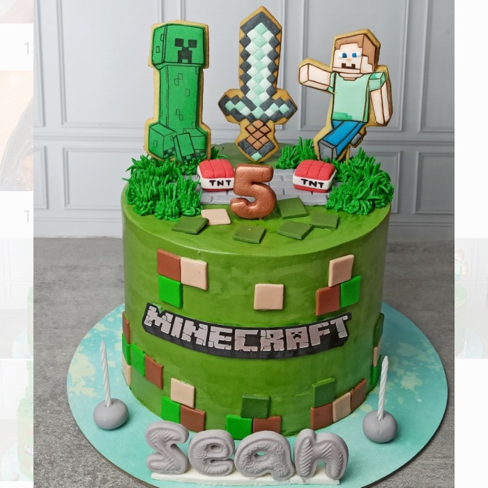 Detail Gambar Kue Ultah Minecraft Nomer 5