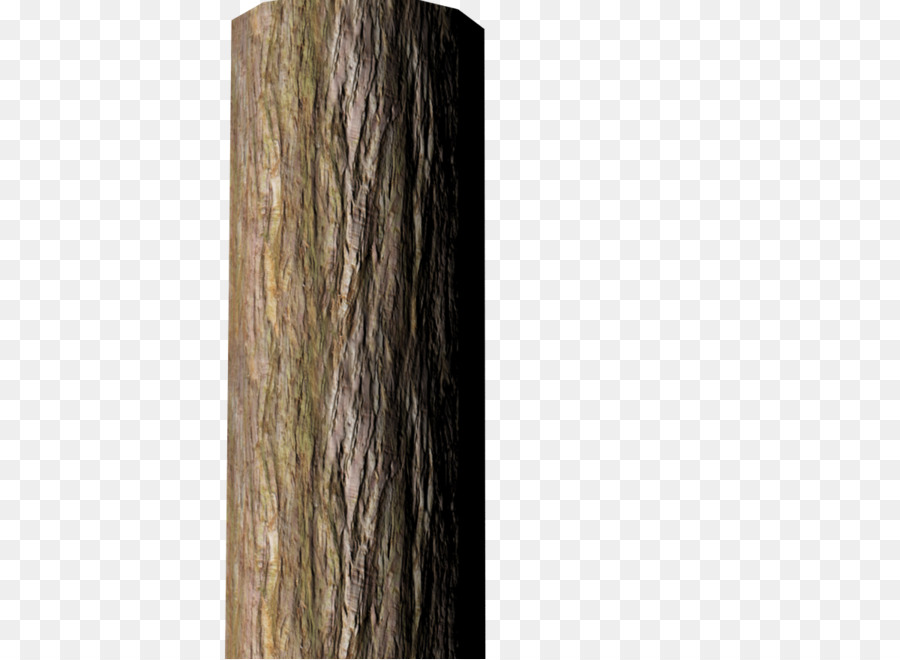 Detail Gambar Kulit Kayu Png Nomer 8