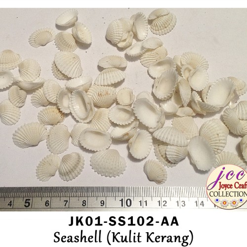 Detail Gambar Kulit Kerang Nomer 40