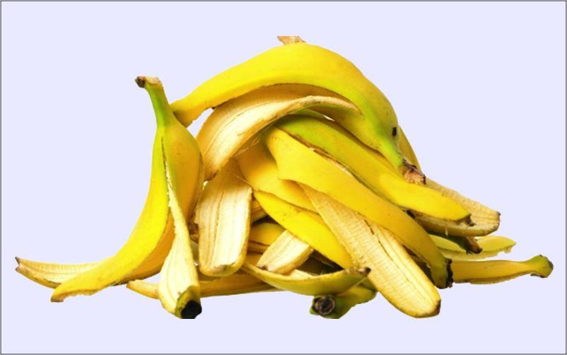 Gambar Kulit Pisang - KibrisPDR