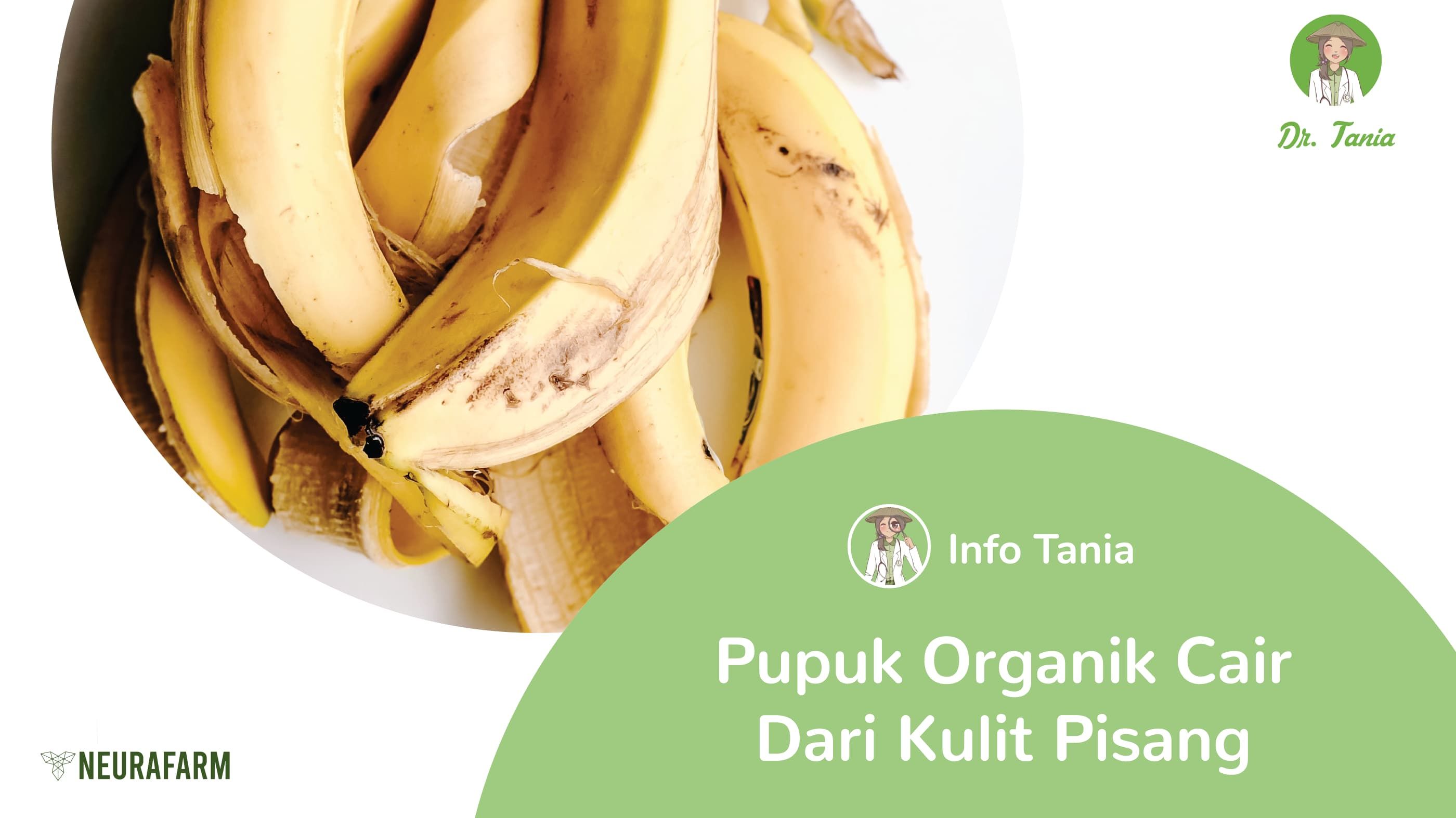 Detail Gambar Kulit Pisang Nomer 24