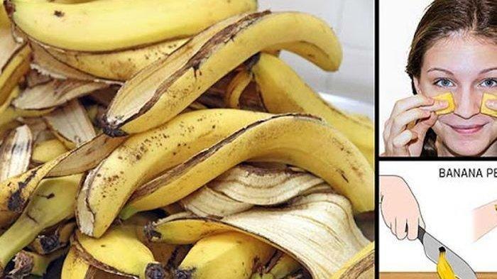 Detail Gambar Kulit Pisang Nomer 49