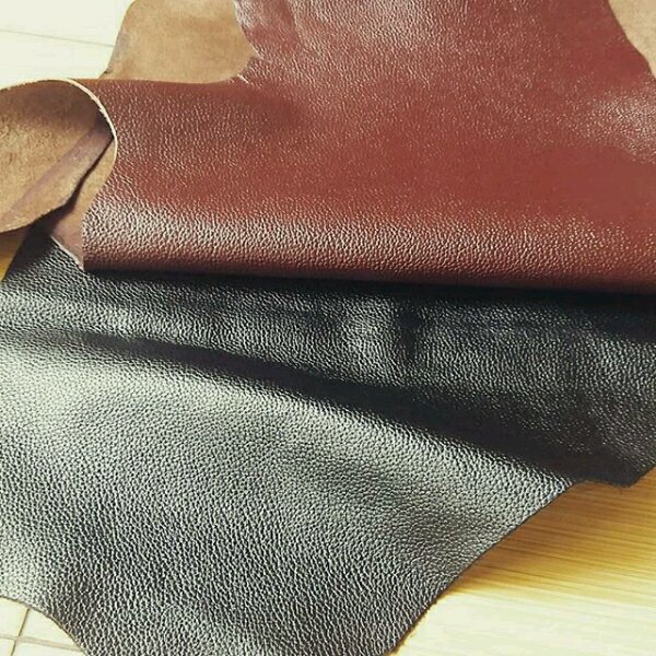 Detail Gambar Kulit Sapi Nomer 12