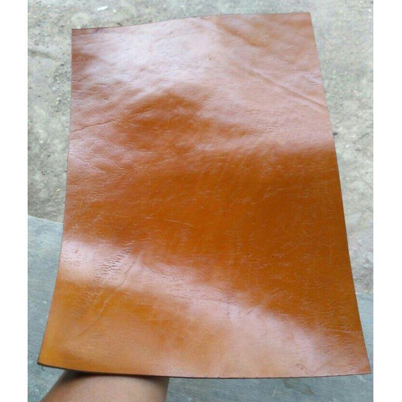 Detail Gambar Kulit Sapi Nomer 21