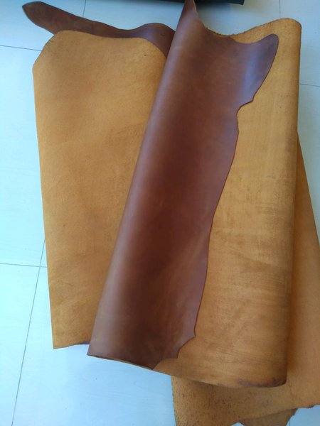 Detail Gambar Kulit Sapi Nomer 24