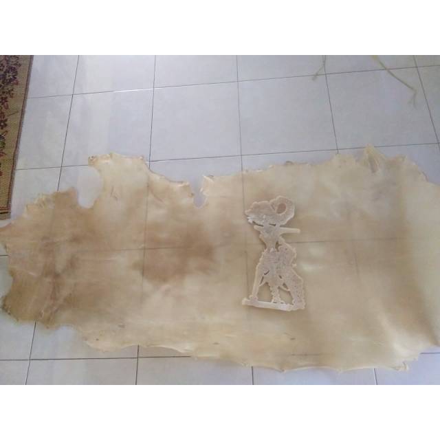 Detail Gambar Kulit Sapi Nomer 34
