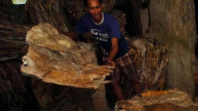 Detail Gambar Kulit Sapi Nomer 48