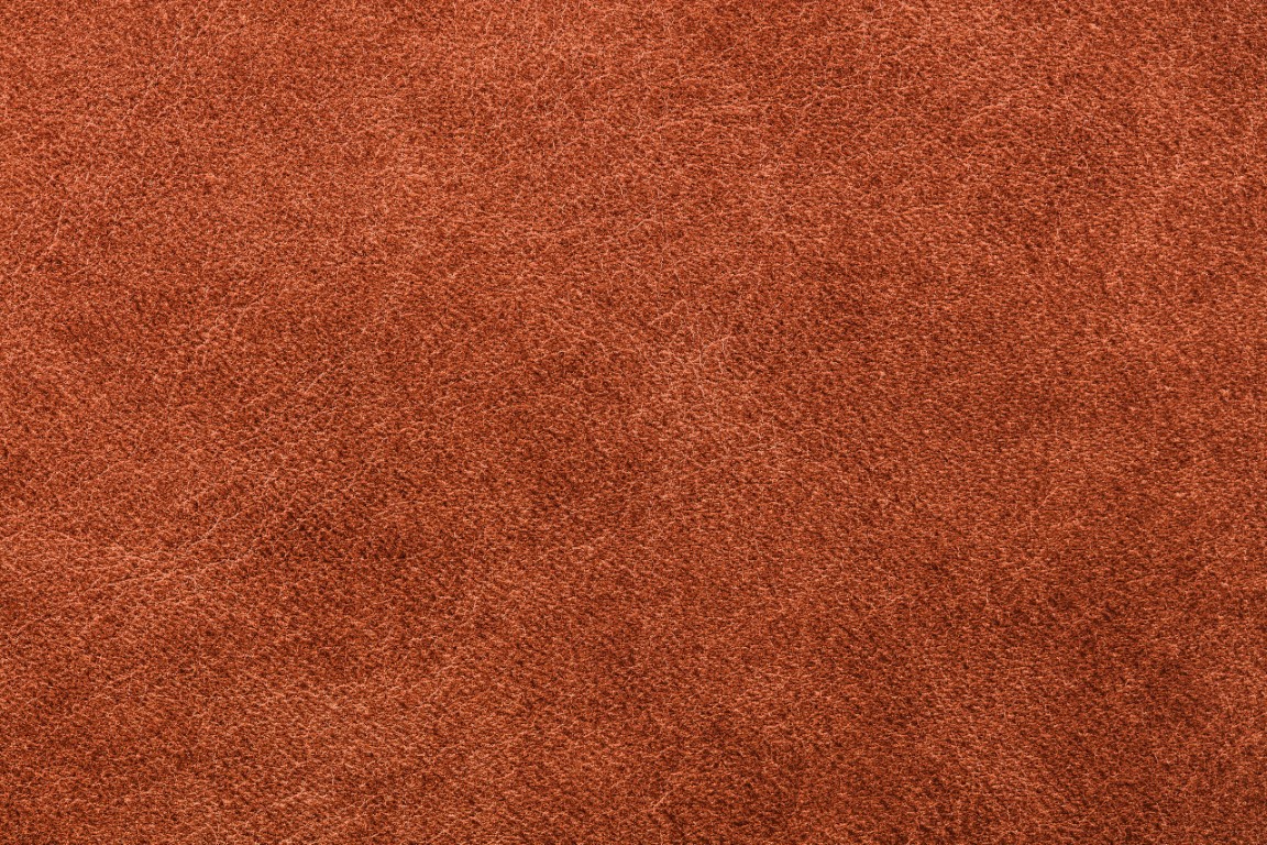 Detail Gambar Kulit Sapi Nomer 52