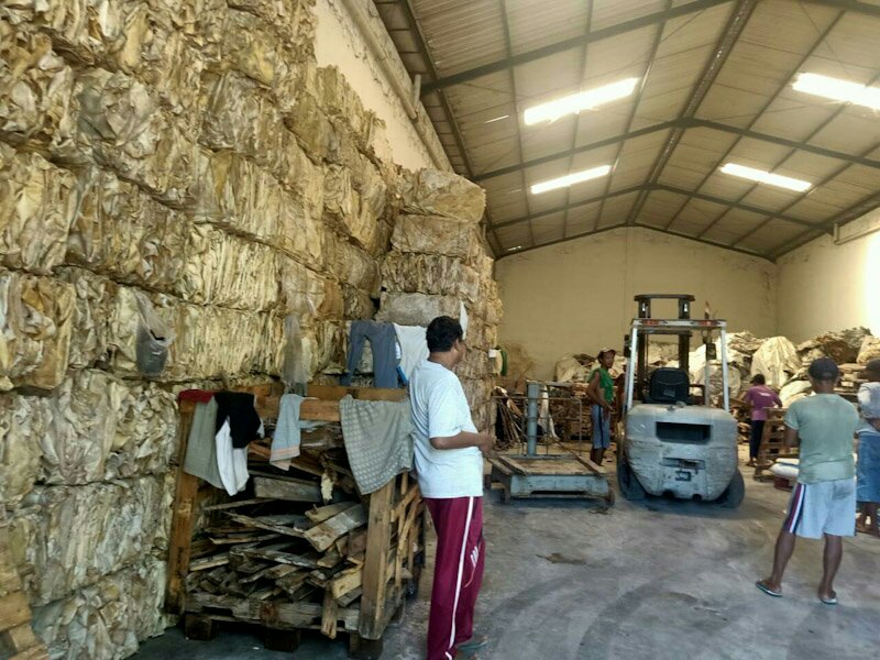 Detail Gambar Kulit Sapi Nomer 53