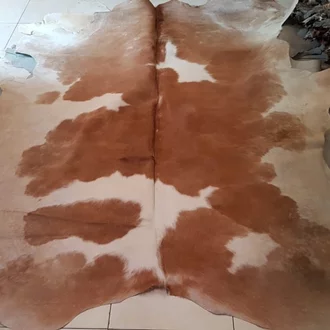 Detail Gambar Kulit Sapi Nomer 54