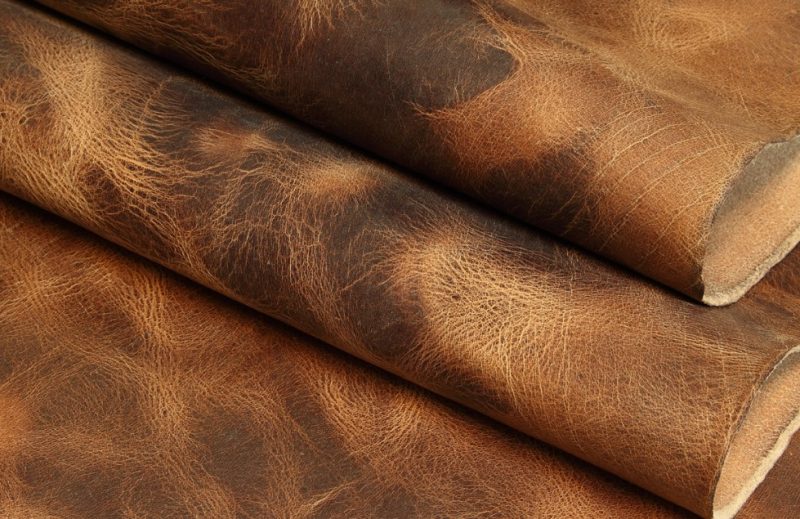 Detail Gambar Kulit Sapi Nomer 7