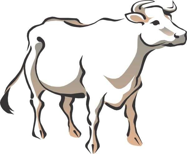 Detail Gambar Kulit Sapi Cartoon Png Nomer 5