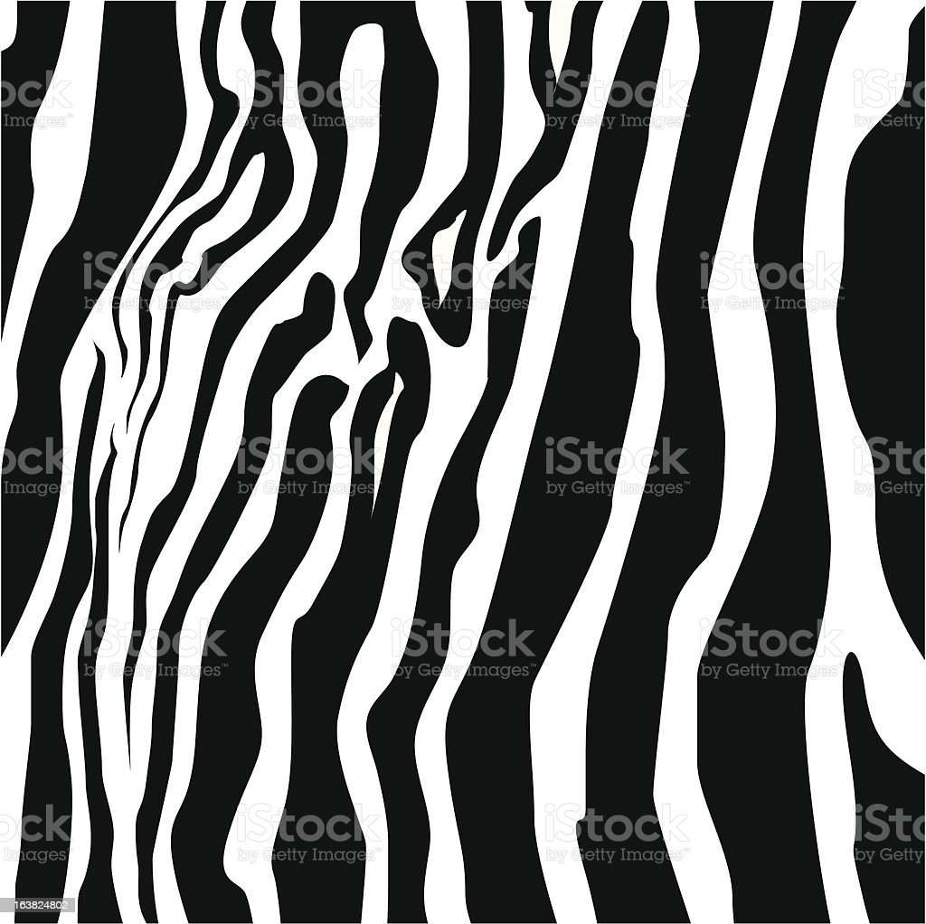 Detail Gambar Kulit Zebra Animasi Nomer 2