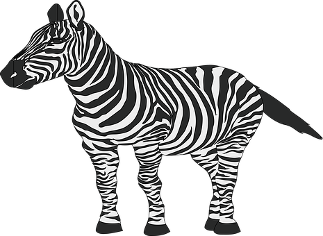 Detail Gambar Kulit Zebra Animasi Nomer 24