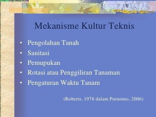 Detail Gambar Kultur Teknis Nomer 15