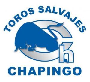 Detail Chapingo Logo Nomer 9
