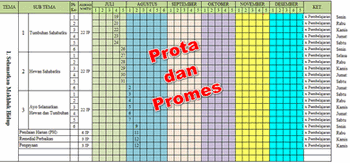 Detail Contoh Prota Dan Promes Nomer 42