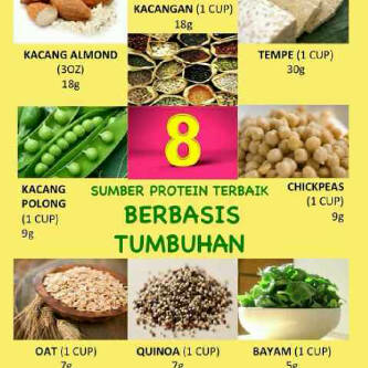 Detail Contoh Protein Nabati Nomer 12