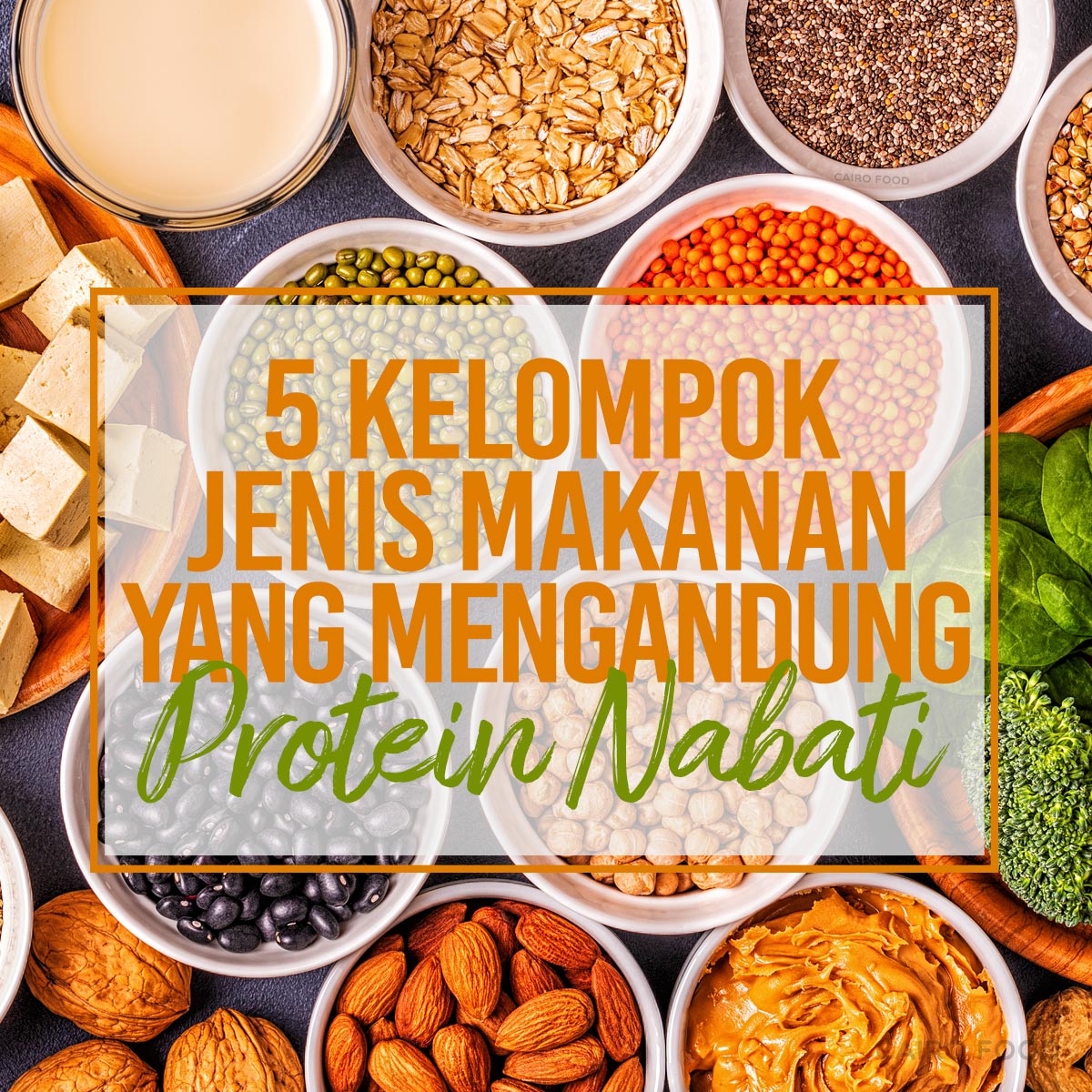 Detail Contoh Protein Nabati Nomer 13